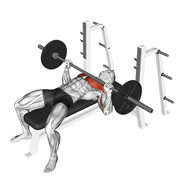 Bench Press demo